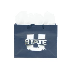 A 13 by 10 gift bag with the U-State logo.
